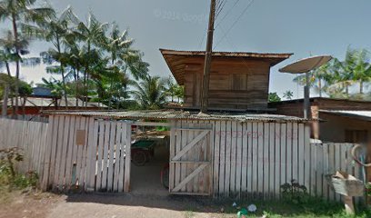 Açaí do grosso