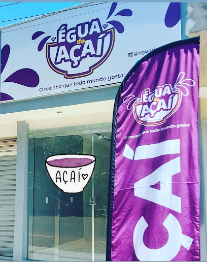 Égua do Açaí top