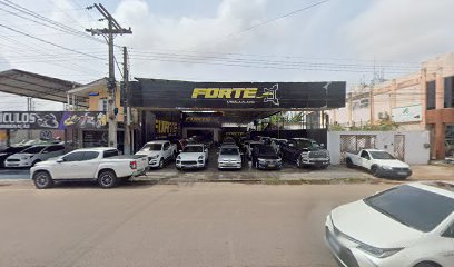 Forte Veículos