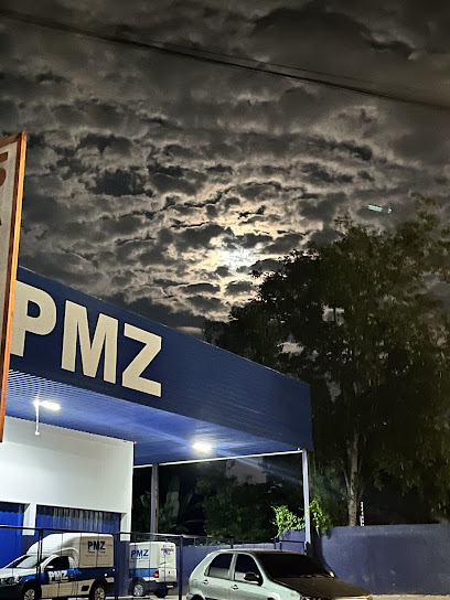 PMZ Peças e Pneus Pemaza Loja 40