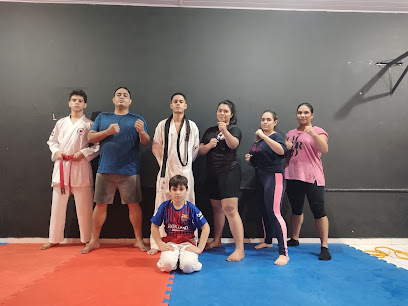 Academia Karate Top Team
