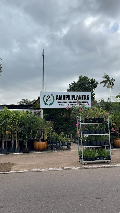 Amapá plantas