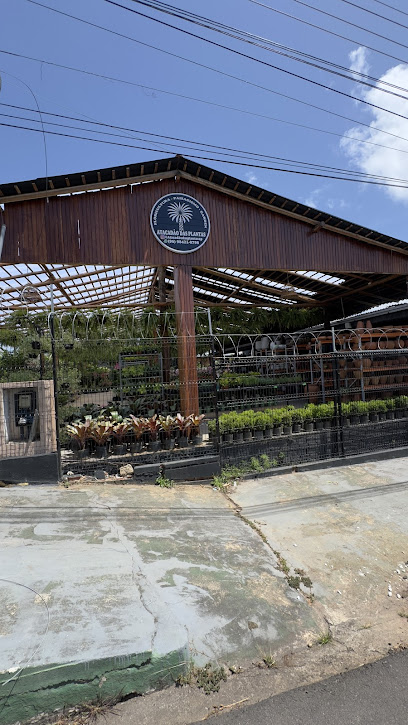 Atacadão Das Plantas