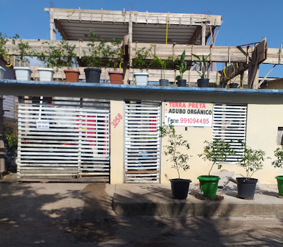 camapu plantas