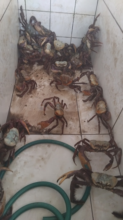 Edivam Do Caranguejo