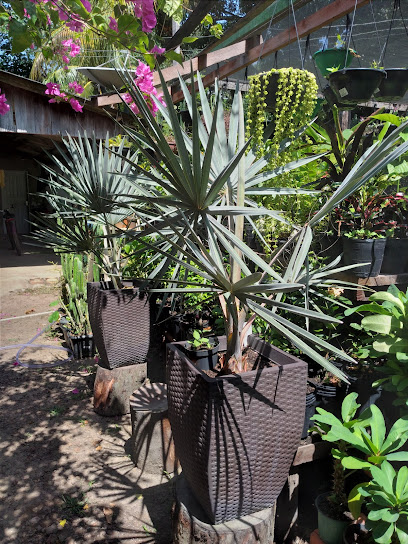 Espaço Planta