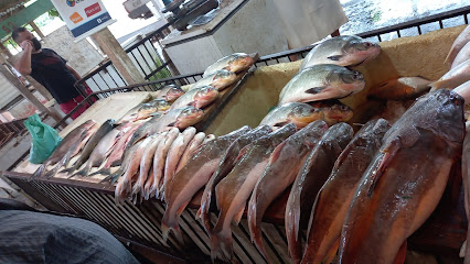 Feira Do Novo Horizonte