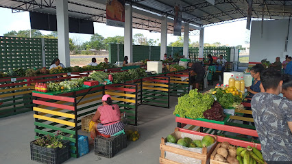 FEIRA VERDE DA FAZENDINHA