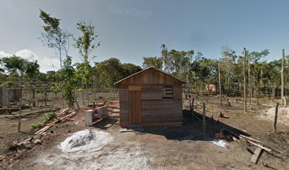 Flores House