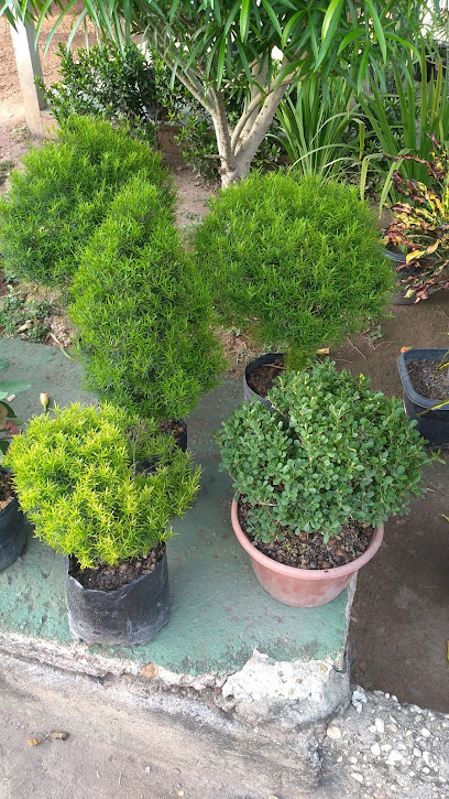 Floricultura e Jardinagem Girassol