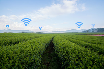 Internet via Satélite | Internet Rural em Macapá | Atendimento Rápido via Whats