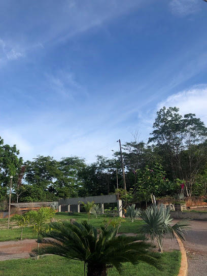 Lagoa Garden plantas e jardins