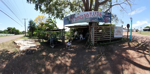 M.M ESPAÇO DAS PLANTAS