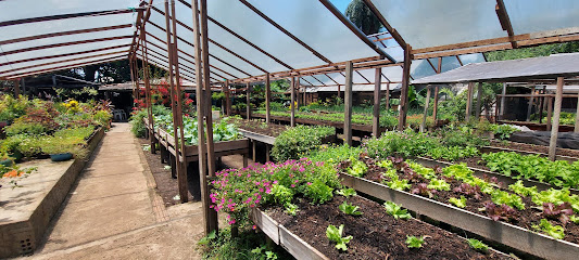 Mundo das Plantas