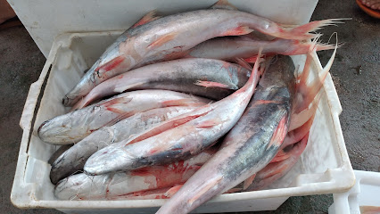 PEIXARIA da PAZ