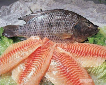 peixaria do peres