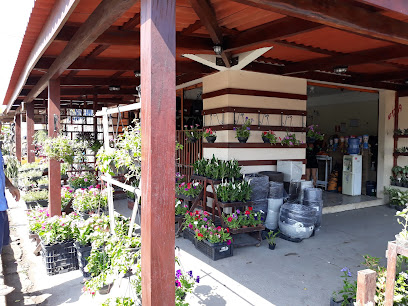 Ponto Verde Plantas & Jardins