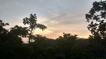 Jardim Felicidade