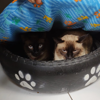 MAISON PET