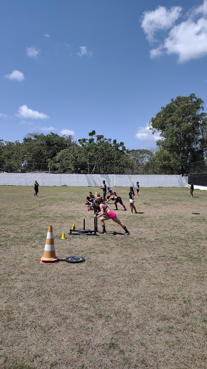 Santos Futebol Clube