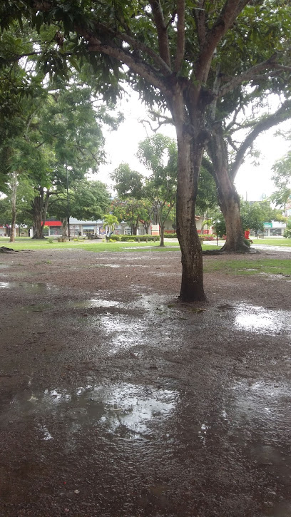 Universidade