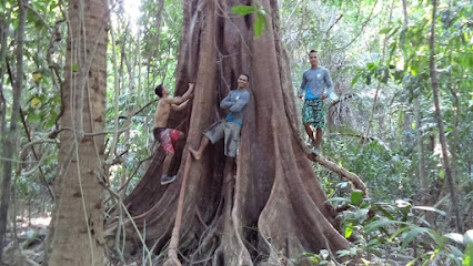 Área de Proteção Ambiental (APA) da Fazendinha