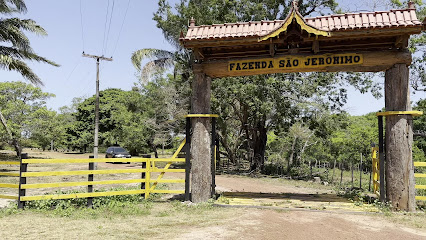 Fazenda São Jerônimo - Soure Ilha do Marajó PA