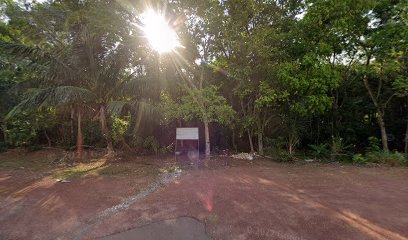 Floresta Francy Sanches