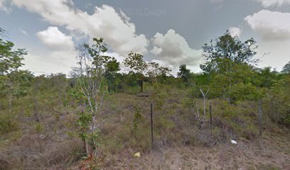 Manoel BRAZ