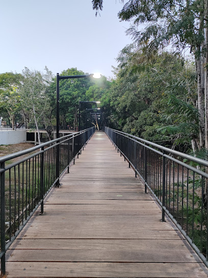 Parque Horto Municipal