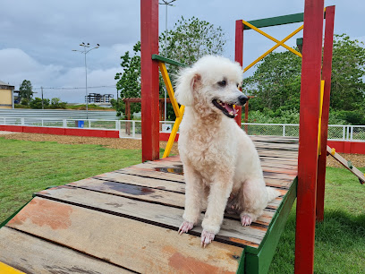 Praça Pet
