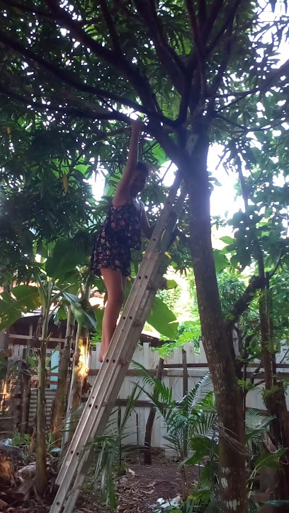 Quintal para crianças do Anima Lara