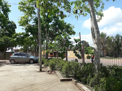 SEMAM - Secretaria Municipal do Meio Ambiente