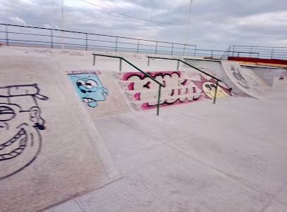 Skate Parque Francisco Vilhena Jr