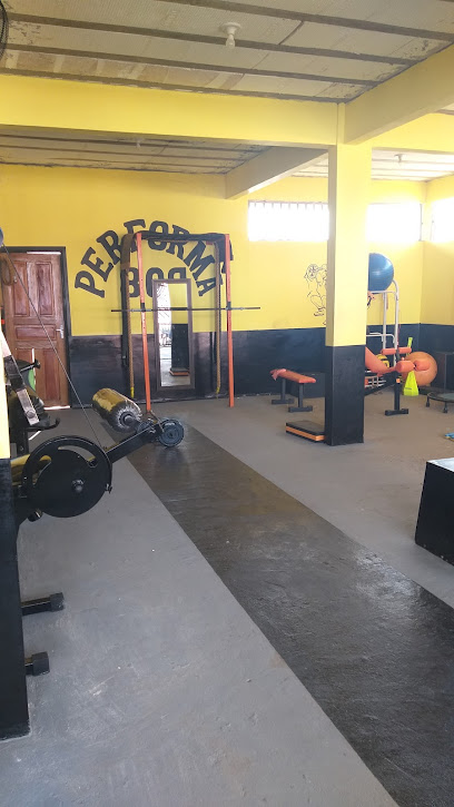 Academia performa809
