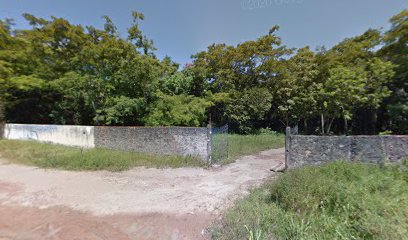 Associação dos Empregados da Embrapa - AEE Amapá