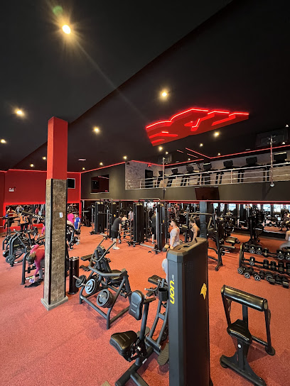 BELLOFIT ACADEMIA