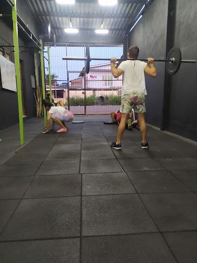 Box Brutus Barbell