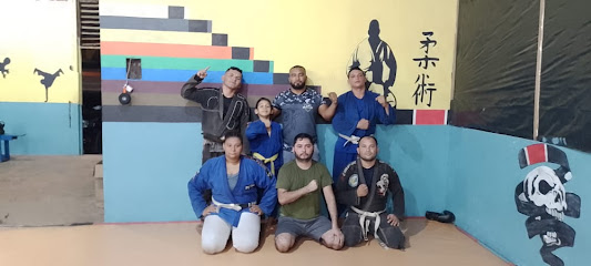CETAM ( Centro de Treinamento de Artes Marciais)