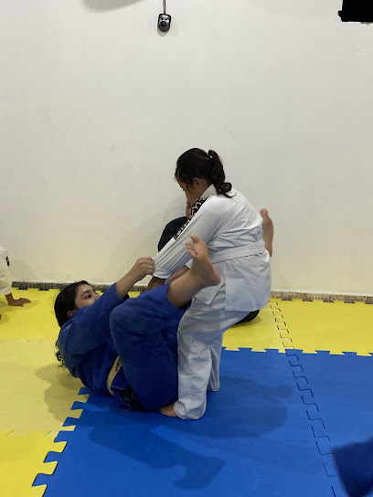 Garagem Jiu-Jitsu