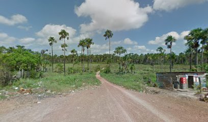 Lago do FORA LULA