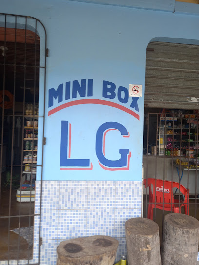 Mini boxe LG