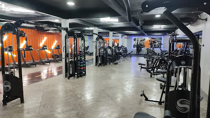 UP Academia