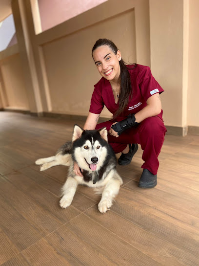 A. V Care Assistência Veterinária