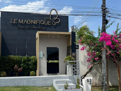 Clinica Le Magnifique - Dra Danielle Beserra | Transplante capilar em Macapá