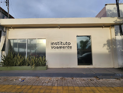 Instituto Voamente