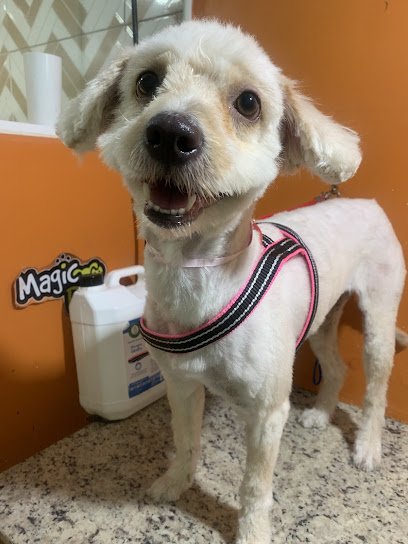MAGICPET MACAPÁ
