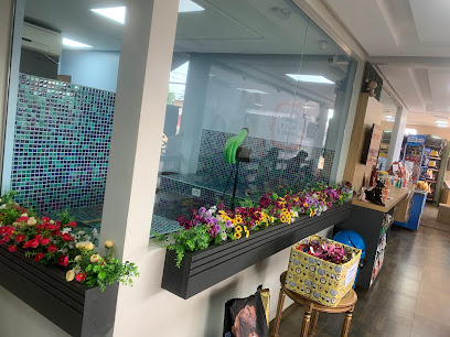 Milenio Pet Shop