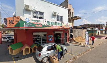 Mundo Animal
