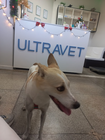 Ultravet - Clínica Veterinária e Bem-Estar Pet